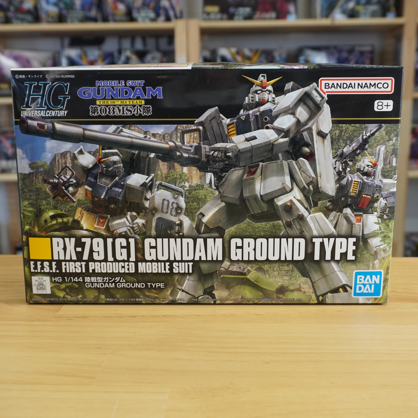 HG 1/144 Gundam Ground Type
