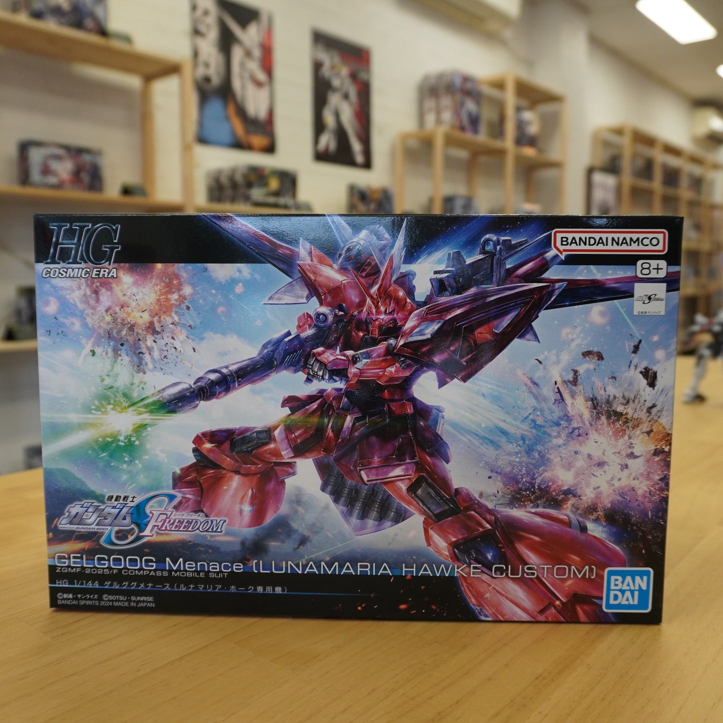 HG 1/144 GELGOOG Menace (Lunamaria Hawke Custom)